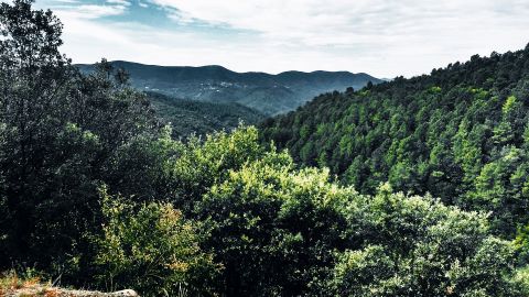 Habités par les Cévennes, le parc national