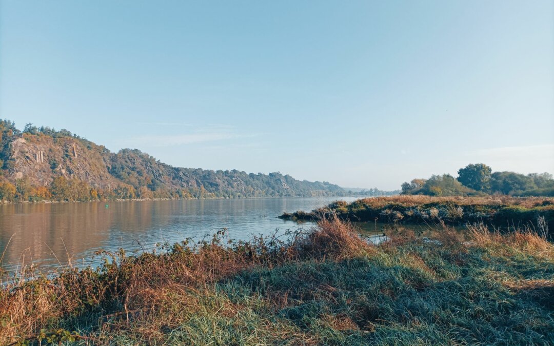 Voile sur Loire 1/2