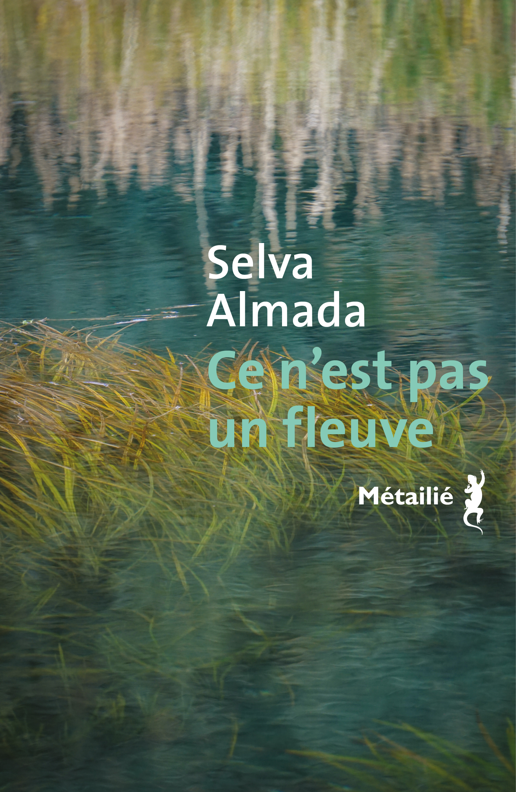editions-metailie.com-ce-nest-pas-un-fleuve-ce-nest-pas-un-fleuve