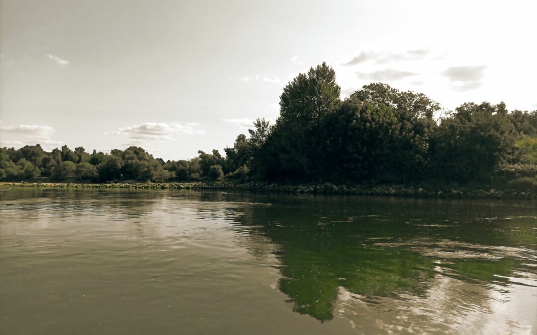Mon île