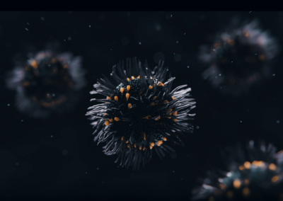 La virologie des coquillages 2/2