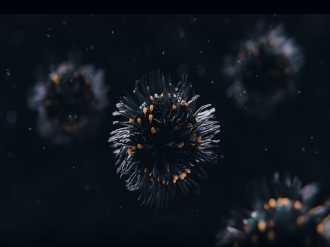 visuel EP 2 virus petite accueil