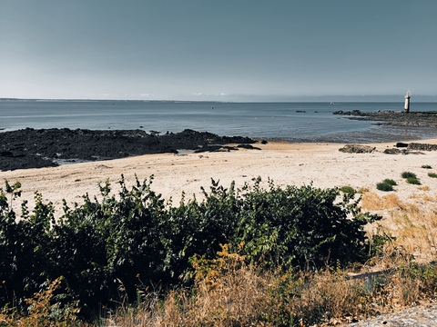 visuel com virologie EP_PETITE accueil