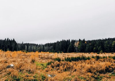 Le conservatoire du silence 2/2