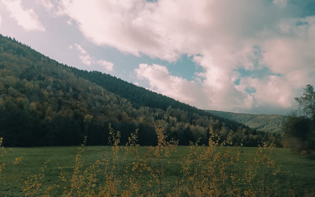 Les Vosges et le cinéma, portrait de René Aubry