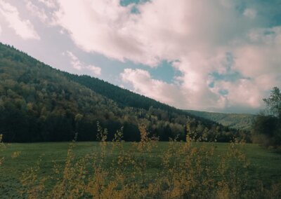 Les Vosges et le cinéma, portrait de René Aubry