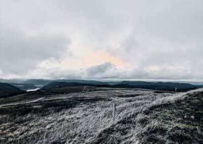 Les Vosges cinématographiques 1/2